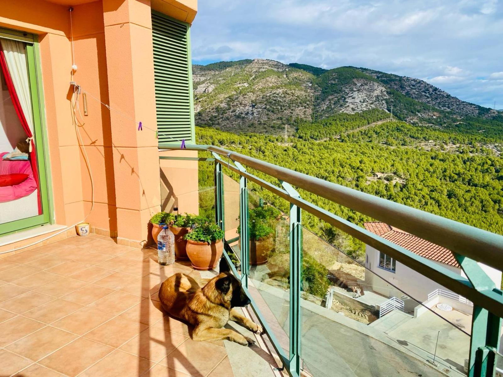 Precioso Atico En La Sierra De Irta Apartment Alcoceber Exterior photo